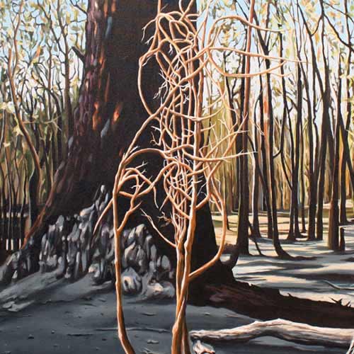 Aftermath at Lerderderg - acrylic on canvas