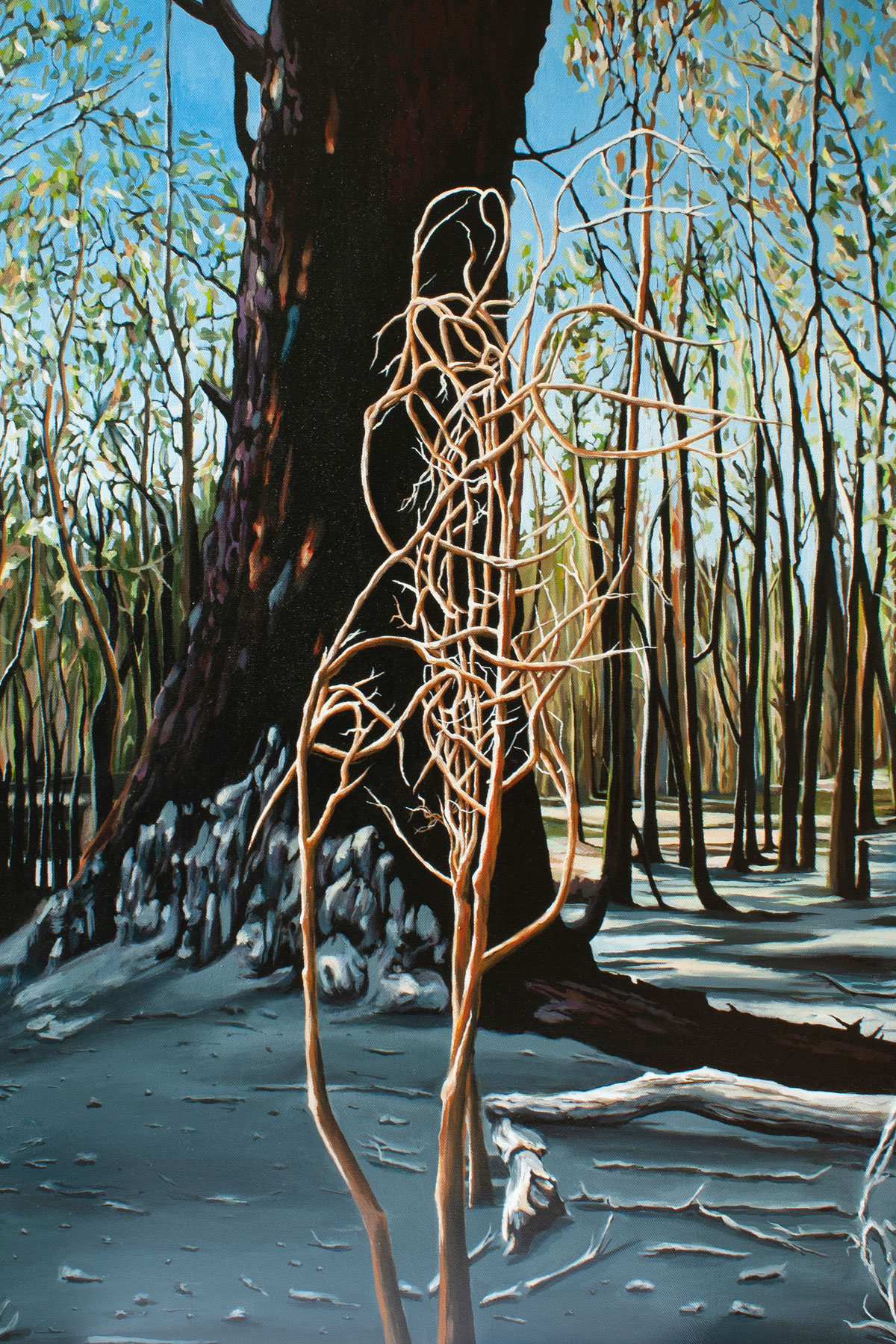 Aftermath at Lerderderg - acrylic on canvas