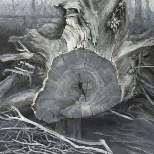 Lerderderg stump - acrylic on canvas