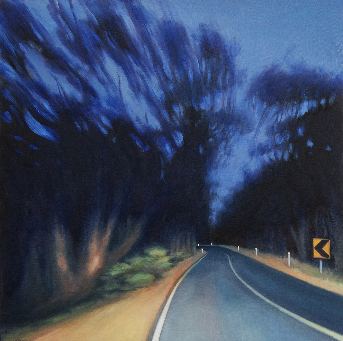Nerrina night drive