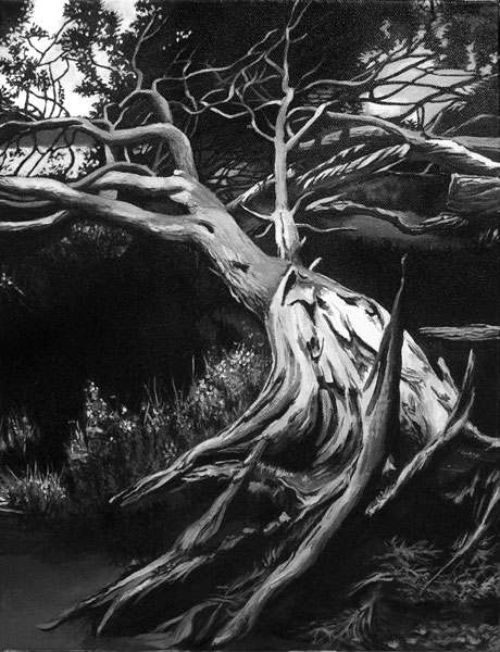 Fallen tree at Toolern creek - acrylic on canvas