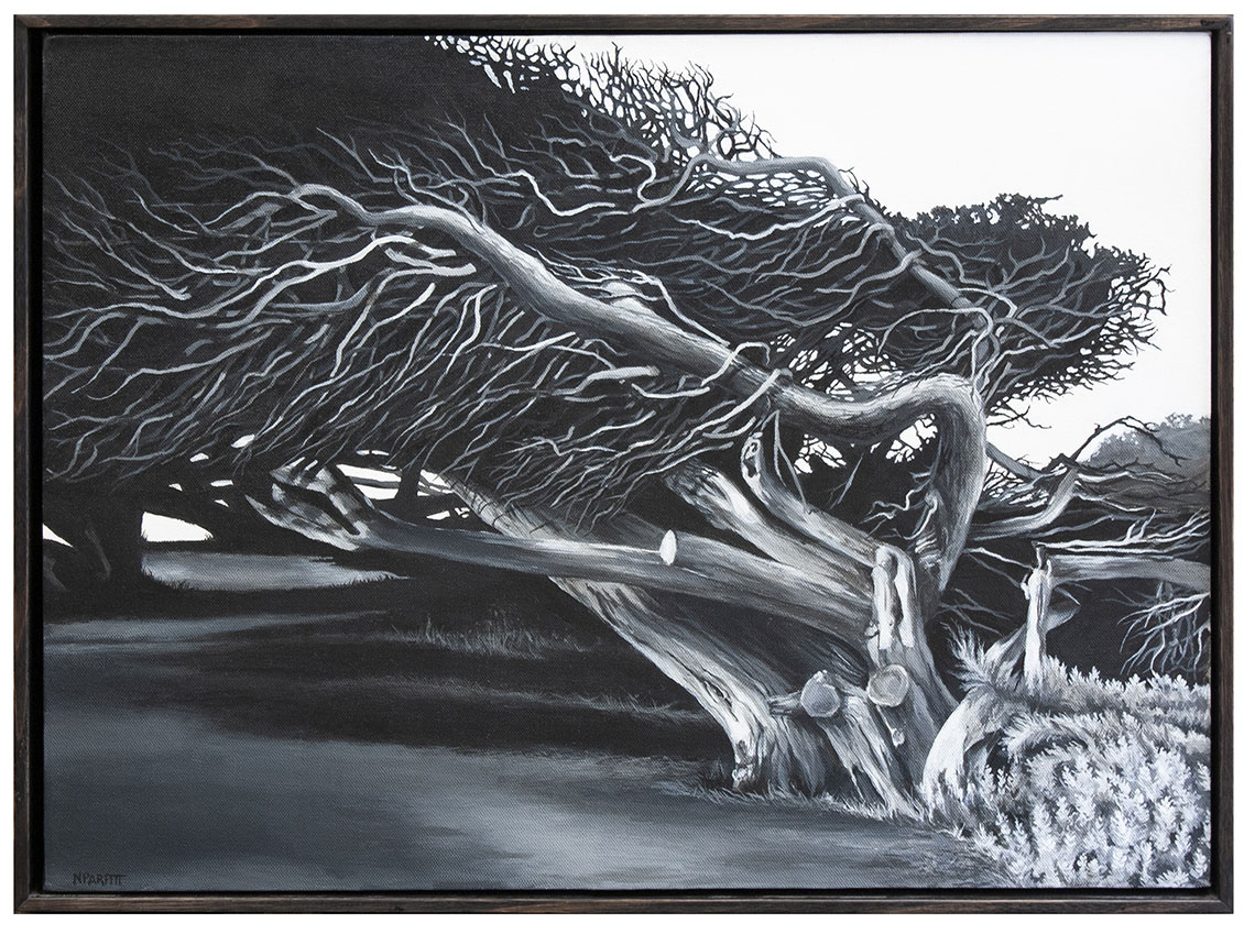 Windswept - acrylic on canvas
