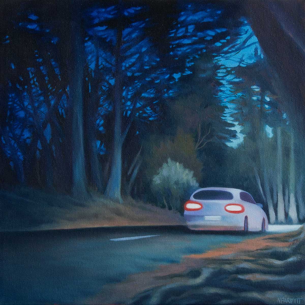 Black Hill night drive